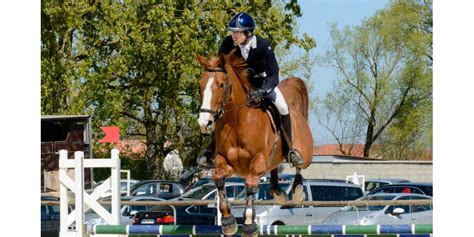 Quitation Cso Amb Rieux En Dombes Amateurs Et Jeunes Chevaux