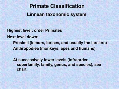 PPT - Primate Studies 2 PowerPoint Presentation, free download - ID:140651