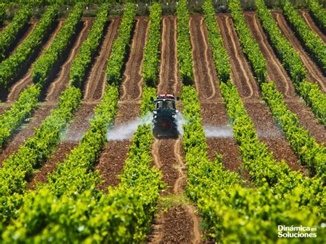 ¿por Qué Es Tan Importante Optimizar El Uso Del Agua En La Agroindustria Noticias Del Agro