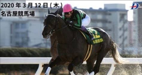 312木厳選‼️鉄板軸馬1レース🏇最適軸馬3レース🏇混戦穴狙い2レース🏇名古屋 11r 名古屋大賞典 統一gⅢ12r・佐賀 10r