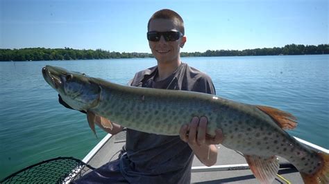 Wisconsin Musky Fishing Amazing Clear Water Youtube