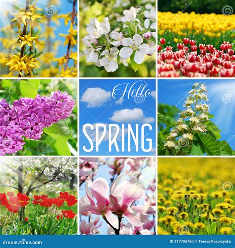 Hello Spring Collage With Colorful Pictures Of Blooming Flowers Stock