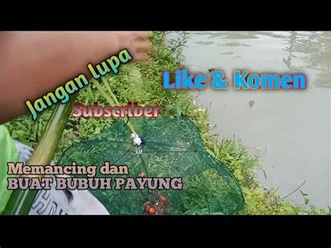 Memancing Dapat Lele Lembat Dan Membuat Bubuh Berbentuk Payung Youtube