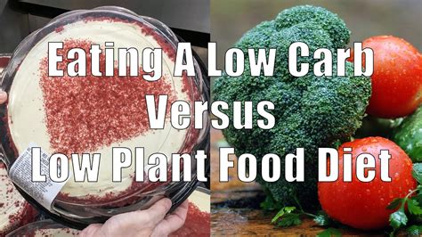 Eating A Low Carb Vs Low Plant Food Diet 700 Calorie Meals Dituro Productions Llc Youtube