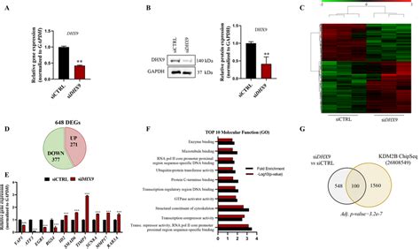 Dhx9 Controls The Expression Of Tumorigenic Related Genes In Es Download Scientific Diagram