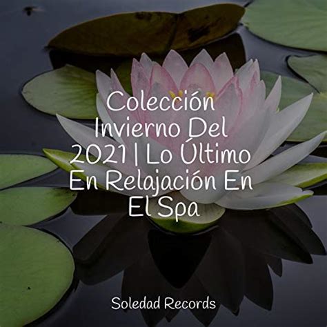 Amazon Music Sonido Del Bosque Y Naturaleza Canciones Para Ni Os