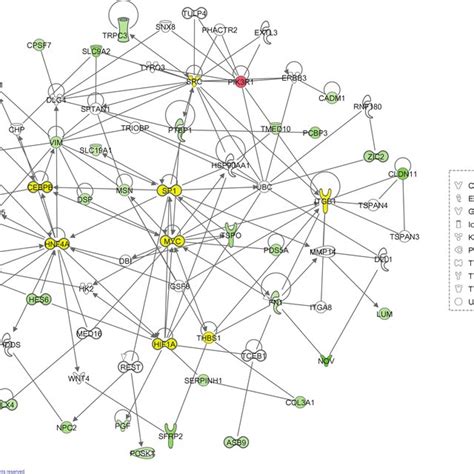 IPA Generated Interaction Network For Genes Dysregulated By Exposure To