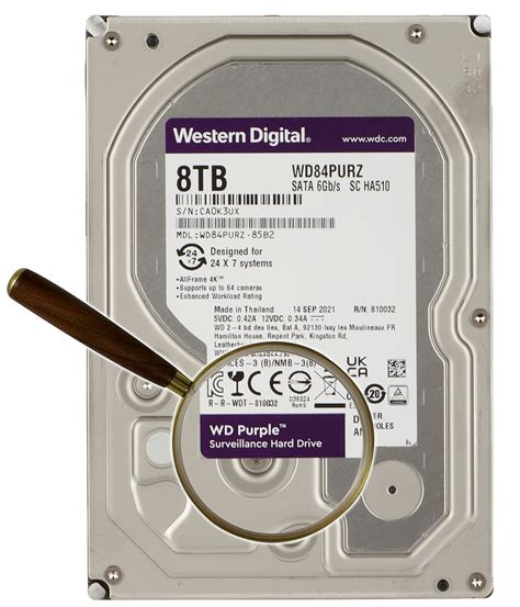 Dysk Do Rejestratora Hdd Wd Purz Tb Western Digital Western