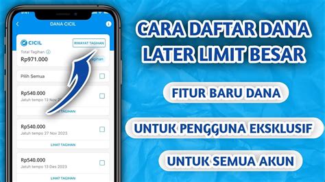 CARA AKTIFKAN DANA PAYLATER TERBARU 2024 YouTube