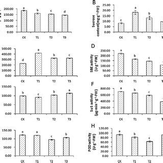 Physiological Analysis Of Wild Type And Transgenic Fgf Rice Mature