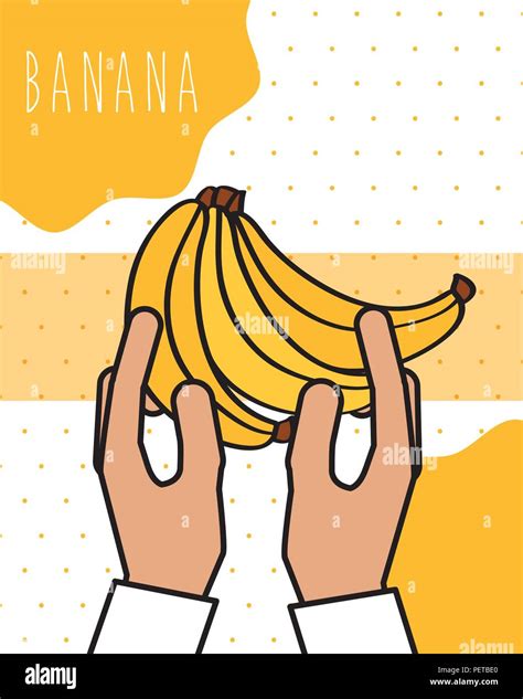 Hands Holding Bananas Fresh Natural Drawn Image Stock Vector Image