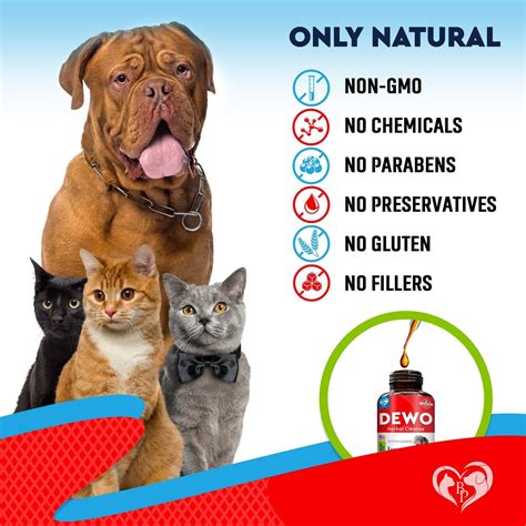 Cats and Dogs Liquid Herbal Medicine and Natural Broad Spectrum