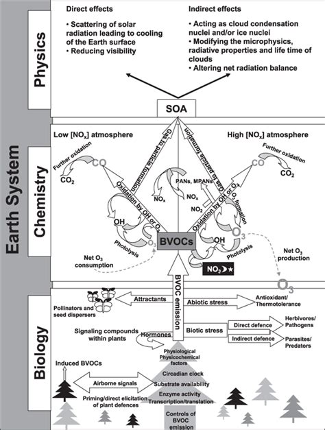 Biogenic Volatile Organic Compounds In The Earth System Laothawornkitkul 2009 New