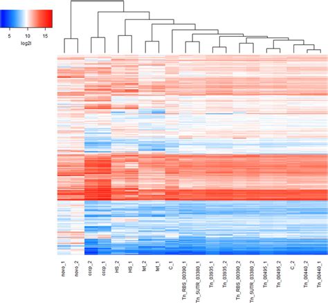 Similarity of gene expression between samples. | Download Scientific ...