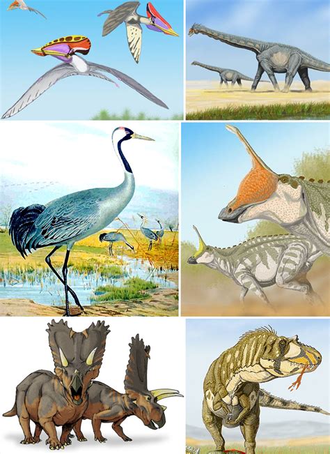 Archosaur All Birds Wiki Fandom Powered By Wikia