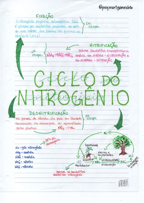 Mapa Mental Ciclo Do Nitrogenio Baixe Gratis Em Pdf Images Porn Sex