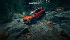 Honda Passport 2026 White