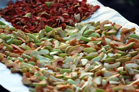 10 Steps To Sun Drying Fruits And Vegetables The Old School Way