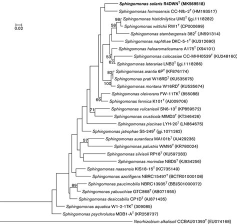 Maximum Likelihood Tree Illustrating The Phylogenetic Position Of