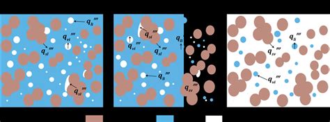 Schematic Representation Of Different Fluid Flow Regimes Within The Download Scientific Diagram