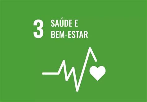 Agenda 2030 da ONU o que é e quais os seus objetivos