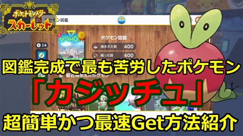 【ポケモンsv】図鑑完成で最も苦労した禁断の果実「カジッチュ」誰でも超簡単に最速でゲットする方法伝授【スカーレット】 Youtube