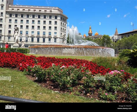 Flowers and Fountain in Plaza Catalunya - Barcelona - Spain Stock Photo ...