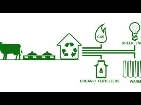 A Working Biogas Setup How To Make Biogas Homemade Biogas From Farm