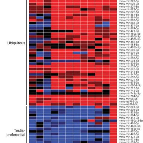 Heat Map Representing Expression Levels Of 77 Currently Known X Linked