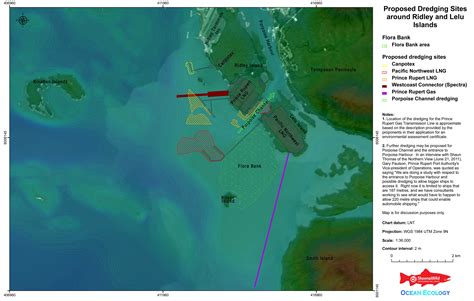 Skeena River Estuary Juvenile Salmon Habitat Storytelling