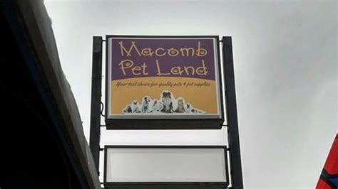 Macomb's Petland under animal abuse investigation