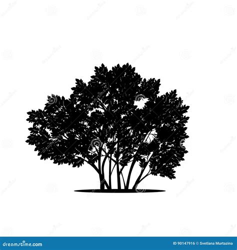 Silhouette Bush With Leaves And Shadow Stock Vector Illustration Of