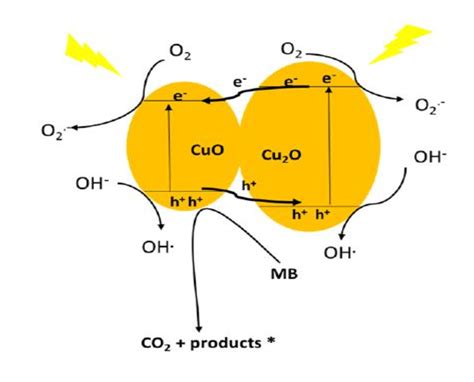 Mechanism of CuO nanoparticles [52]. | Download Scientific Diagram