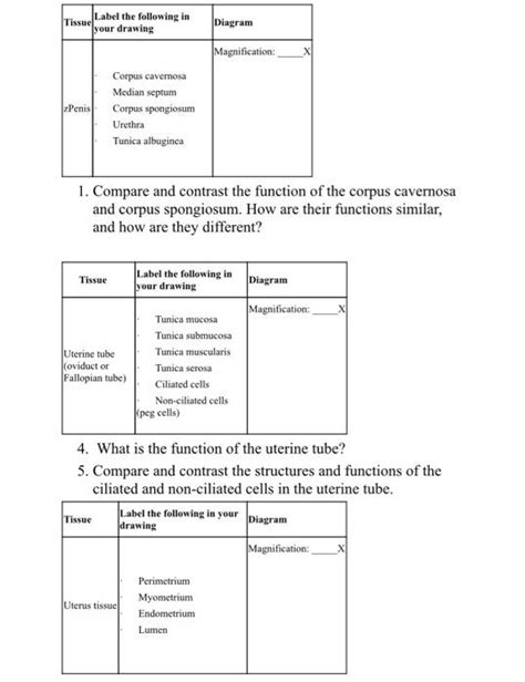 Solved Label The Following In Tissue Your Drawing Diagram