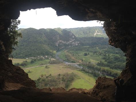 Bosque Estatal De Río Abajo Arecibo Puerto Rico Around Guides