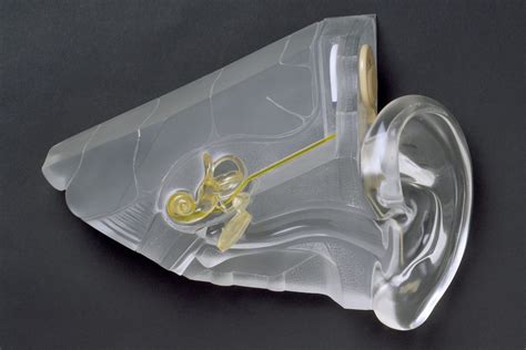 Did Covid Take Your Sense Of Smell A Bionic Nose May Soon Be Able To