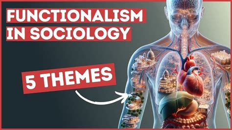 Functionalism In Sociology An Overview Of The 5 Key Themes Youtube