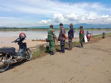 445 Hektare Sawah Terendam Banjir Kerugian Mencapai Rp 2 Miliar