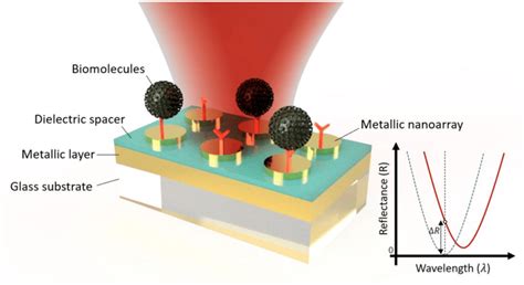 The Schematic Illustration Of Lspr Perfect Absorber Based Sensor