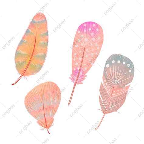 Gambar Watercolor Style Pink Feathers Cat Air Bulu Tekstur Png