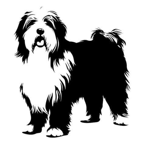 Un Dibujo Blanco Y Negro De Un Perro Con Una Cara Negra Y Blanca