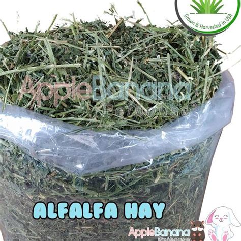 Jual Alfalfa Hay 1 Kg SH Special Hay Rumput Hay Alfalfa 1kg Makanan