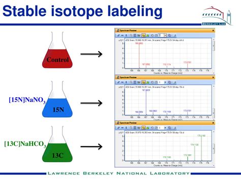 Ppt Metabolomics And Metabolite Atlases Powerpoint Presentation Id