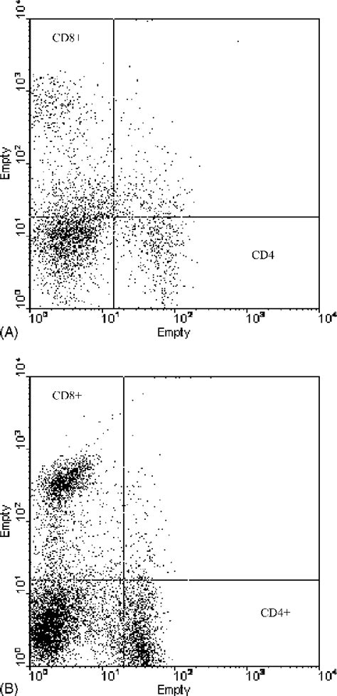 Flow Cytometry Analysis Using Forward Fsc Cell Size And Side Scatter