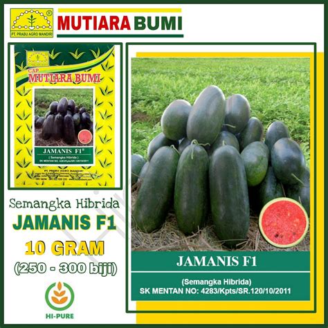 Jual BENIH SEMANGKA HIBRIDA TIPE INUL JAMANIS F1 ISI 10 GRAM Sekitar