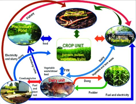 USING INTEGRATED FARMING TO INCREASE FARMING SUCCESS - Agriculture Nigeria