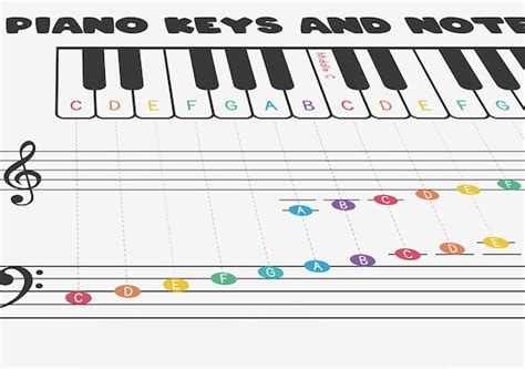 Piano Keyboard Note Chart Pdf Piano Keys And Notes On Staff Worksheets Library