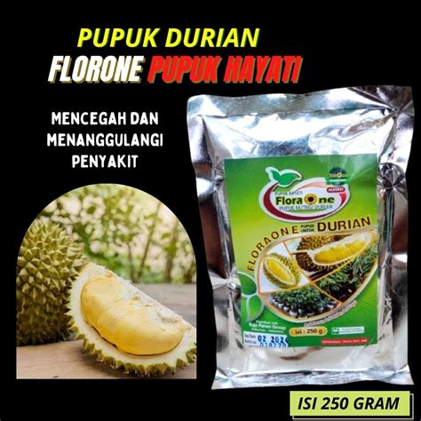 Jual Pupuk Booster Hayati Buah Durian Nutrisi Durian King Montong