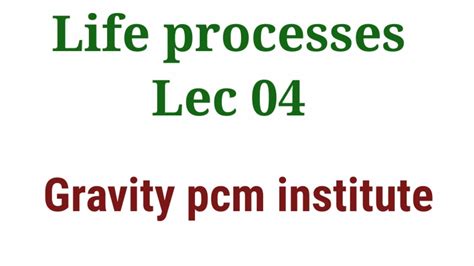 Life Processes Class Cbse Lec Youtube