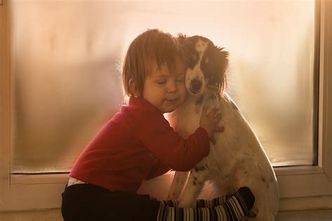 Ni O Abrazando Al Perro